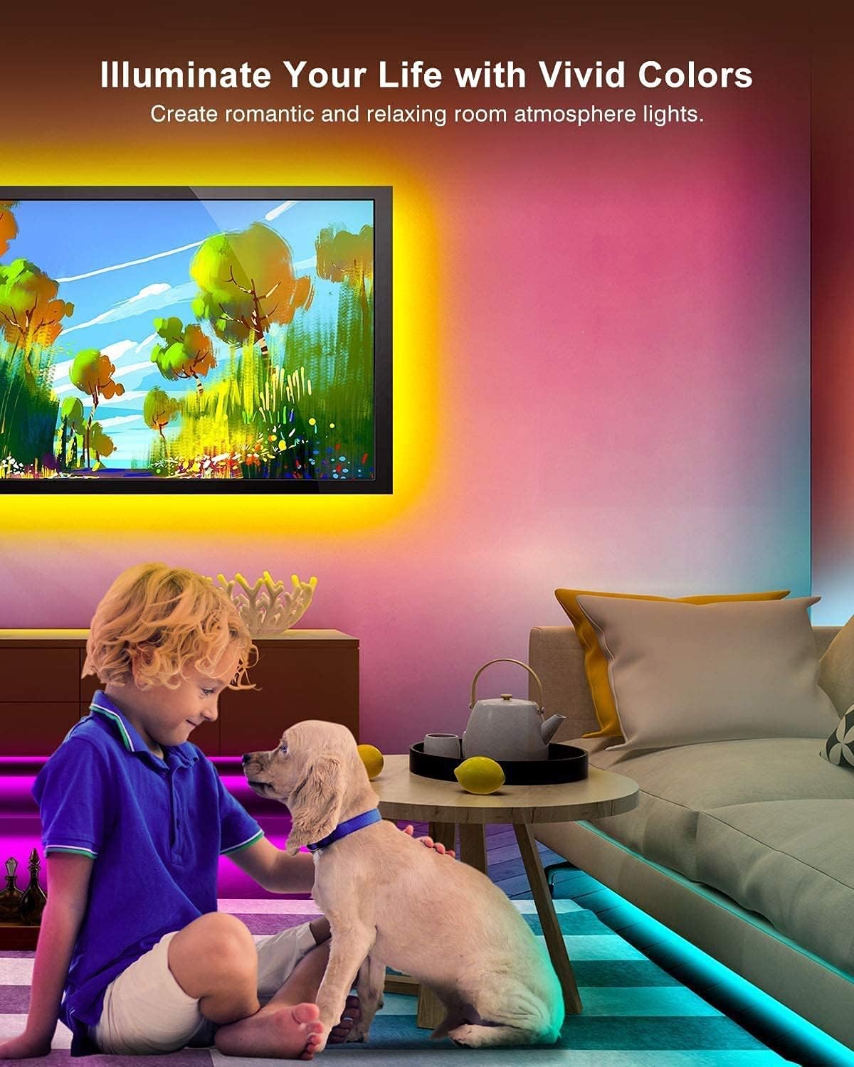 LED Strip Light with Remote Control and Waterproof